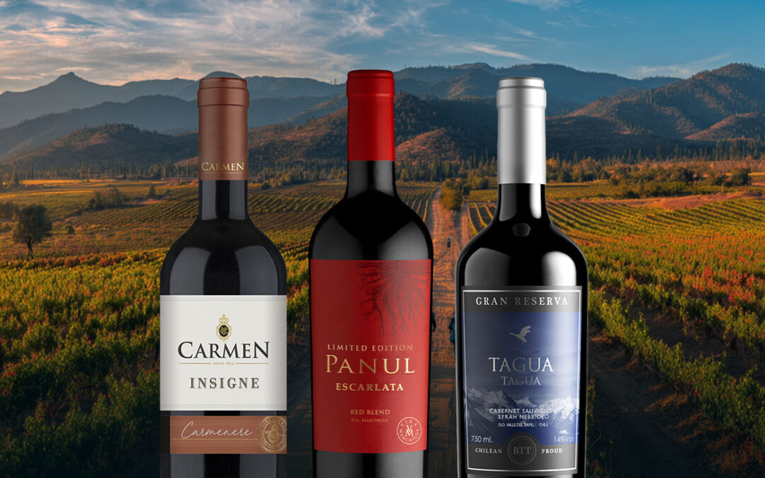El vino chileno: Una historia de raíces firmes.
